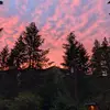Jake Lee - @jake.lee14 - TikTok