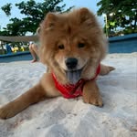 @jakeleechow - Instagram