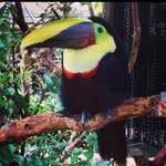 Jake Lemon - @lemonboi060 - Instagram