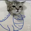 Jake Lemon - @jake.lemon87 - TikTok