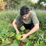 Jake Lemon - @lemonvieira - Instagram