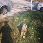 Jake lemon - @jakelemon14 - Instagram