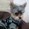jake - @jake_lemus - TikTok