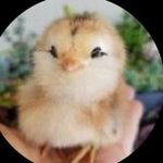 jake lenory - @jake_lenory - Instagram
