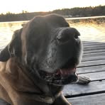 Jake Lesser - Facebook