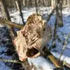 Jake Fletcher - @jake.fletcher78 - TikTok