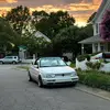 Jack Lewandowski - @mr.turtleman76 - TikTok