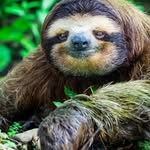 jake libby - @fungalsloth357 - Instagram