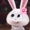 jakelin_902<3🥺♥️ - @jakelin_902 - TikTok