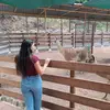 Jakelin - @jakelinhuaman7 - TikTok