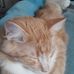 Jacob Lindquist - Facebook