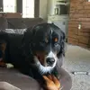 Not_Jake_14 - @jakelines07 - TikTok