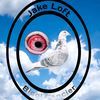 Jake Loft - @jake.loft6 - TikTok