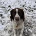 Jake Longley - Facebook