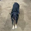 Jake looney - @jake.looney4 - TikTok