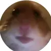Jake is lost - @jake_is_lost - TikTok