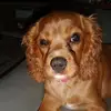 Jake Low - @jake.low72 - TikTok
