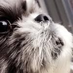 Jake Ludwig - @jakeludwig_1 - Instagram
