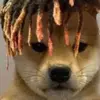 Jake Lugo - @jake.lugo1 - TikTok