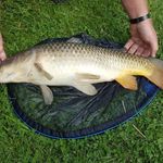 jake lunn - @course_fishing_ - Instagram