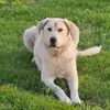 Jake Lunn - @jake65191 - TikTok