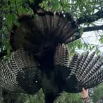 Jake Luttrell - Facebook