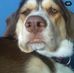 Jake Lutz - Facebook