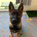 Jacob Luxton-Gates - Facebook