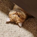 Jake Lyman - @lymanjake69 - Instagram