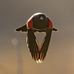 Jake Macdonald - Facebook