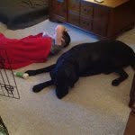 Jake Mackinnon - @supafly999 - Instagram