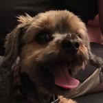 Jacob Maggio - @jakekpo73 - Instagram