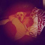 Jake Magill - @jake_magill - Instagram