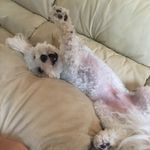 jake magill - @jake_magill16 - Instagram