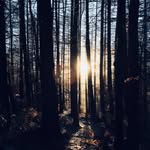 Jake Main - @world_watcher24 - Instagram