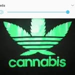jake - @jake_mains - Instagram
