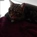 Jake Mallow - Facebook
