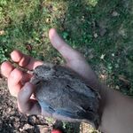 Jake Maples - @maples.jake - Instagram