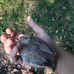 Jake Maples - Facebook