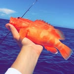Jake Marlin Garber - @marlin_freediving - Instagram