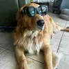 JakeSadieMarlin - @jakesadiemarlin - TikTok
