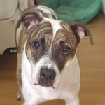 Jake Marrone - @jake.marrone - Instagram