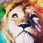 jake marston - @marston994 - Instagram