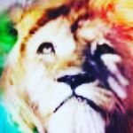 jake marston - @marston392 - Instagram