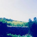 Jake marston - @hdvdff - Instagram