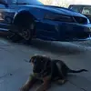 Jake Masterson - @jakemasterson5 - TikTok