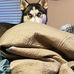 Jake Mattice - Facebook