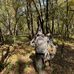 Jake Mattox - Facebook