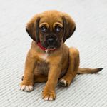 Jacob Maughan - @jakem8148 - Instagram