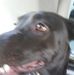 Jake Maughan - Facebook
